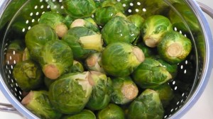 sprouts